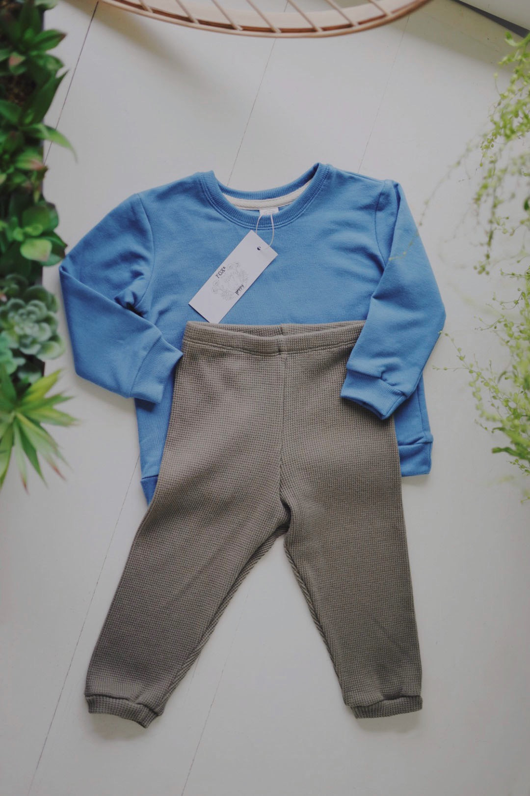 0-3m to 5 youth fox and poppy waffle pant | olive